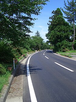 Carretera convencional con una única calzada
