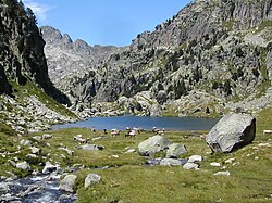 Lago glaciar del parque