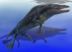 Reconstrucción artística de un ejemplar de Rodhocetus