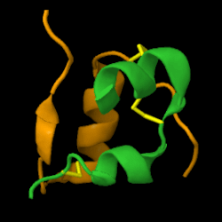 Representación tridimensional animada de la insulina humana con cadena A en verde y cadena B en naranja.
