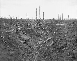 Trinchera alemana destruida en el bosque de Delville
