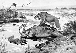 Ilustración de varias especies atascadas en los pozos de asfalto.