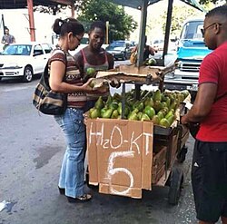 Comercialización callejera de aguacates