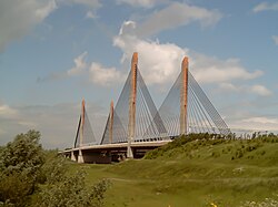 Puente Martinus Nijhoffbrug en Zaltbommel