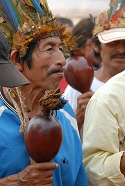 Representante de la comunidad guaraní contemporánea