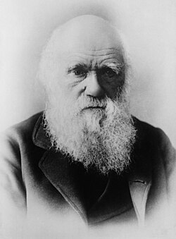 Retrato fotográfico de Charles Darwin en su etapa madura.