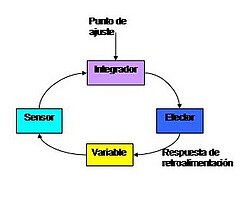 Componentes de un sistema de realimentación