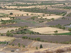 Cultivos de secano en la provincia de Granada, España