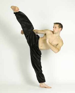 Patada lateral ejecutada por Steve Coleman