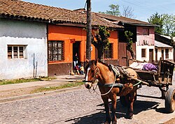 Paisaje rural en Molina, Región del Maule.