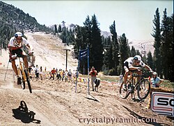 Competición de dual eslalon
