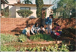 Huerta escolar mantenida por estudiantes en una escuela especial