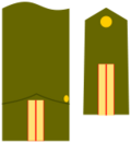 Representación gráfica de divisas e insignias militares históricas.