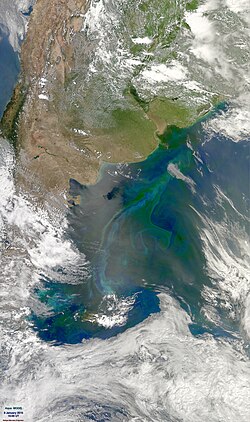 Imagen satelital de fitoplancton en el Mar Argentino captada por la NASA.