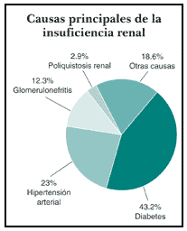 Gráfico estadístico sobre afectaciones renales y demografía