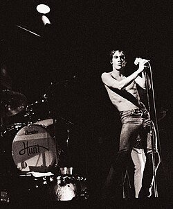 Iggy Pop en el escenario