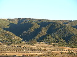 Sierra de Salinas con cultivos en sus faldas