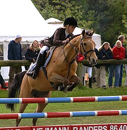 Saltos de obstáculos