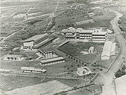 Laboratorio Nacional de Frascati en 1960