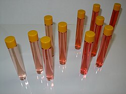Variedad de tonos de vino rosado en copas, desde anaranjado hasta violeta.