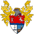 Bandera del municipio de Agrado