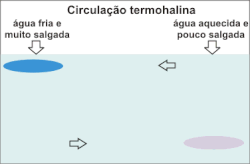 Sección vertical de la circulación termohalina oceánica.