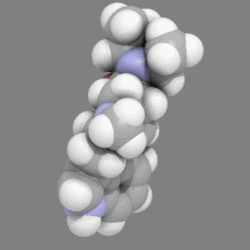 Representación gráfica animada asociada al LSD
