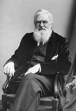 Retrato del naturalista Alfred Russel Wallace.