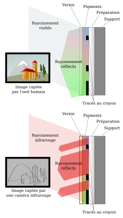 Comparación de la formación de una imagen en luz visible frente a la luz infrarroja