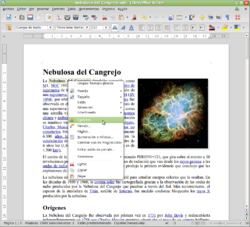 Captura de pantalla de un procesador de texto en un sistema operativo.