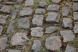 Detalle del adoquinado irregular en el Bosque de Arenberg