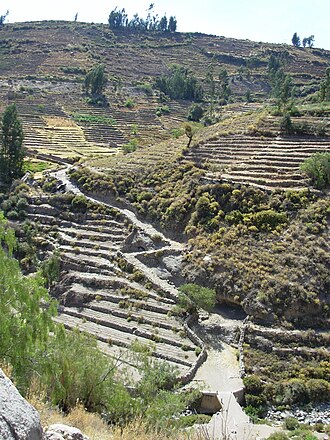 Camino Inca y andenería en Tarata