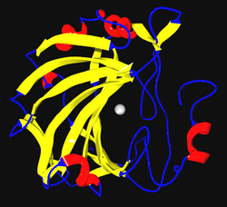 Estructura tridimensional de la anhidrasa carbónica