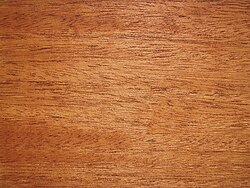 Detalle taxonómico y representativo de la especie de madera Swietenia macrophylla