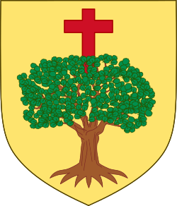 Representación gráfica del escudo tradicional histórico de Sobrarbe