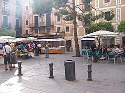 Vista parcial de la Plaza del Pino