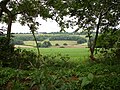 Hog's Back en Surrey