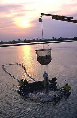 Pescadores en una granja del Misisipí.