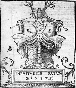 Mondino dei Liuzzi, Anathomia, 1541