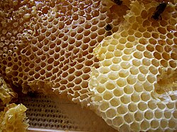 Panal con celdas hexagonales