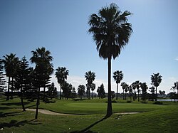 Campo de golf de Costa Ballena