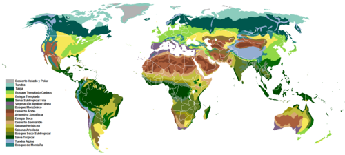 Biomas terrestres clasificados según la vegetación predominante en el planeta.