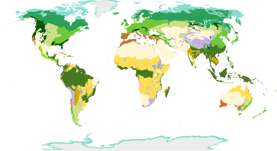 Mapa global de biomas terrestres y acuáticos según la zonificación del WWF.