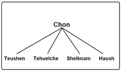 Clasificación de la familia según Suárez de 1970