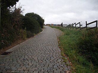 Detalle del pavimento adoquinado del Paterberg