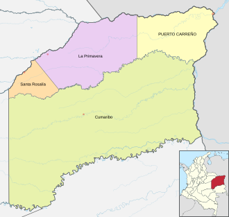 División municipal de Vichada