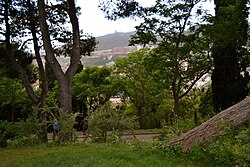 Senderos y vegetación del Parque del Turó de la Peira