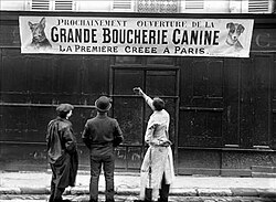Carnicería de perro en Francia en 1910