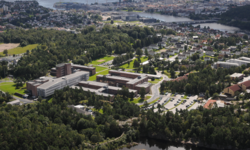Universidad de Agder