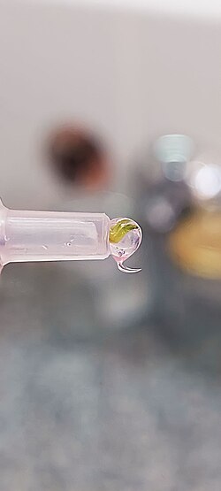 Semilla sintética de meristemos somáticos de Nicotiana tabacum